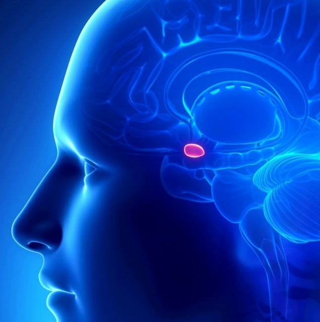 [Дмитрий Исаев, Александр Драгнев] Фабула _Гипофиз_0.png